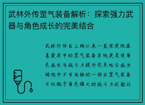 武林外传罡气装备解析：探索强力武器与角色成长的完美结合