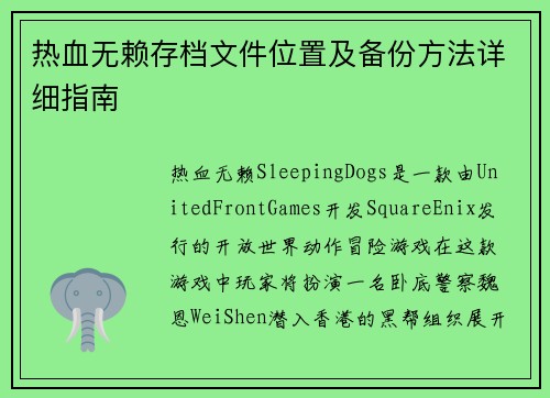 热血无赖存档文件位置及备份方法详细指南